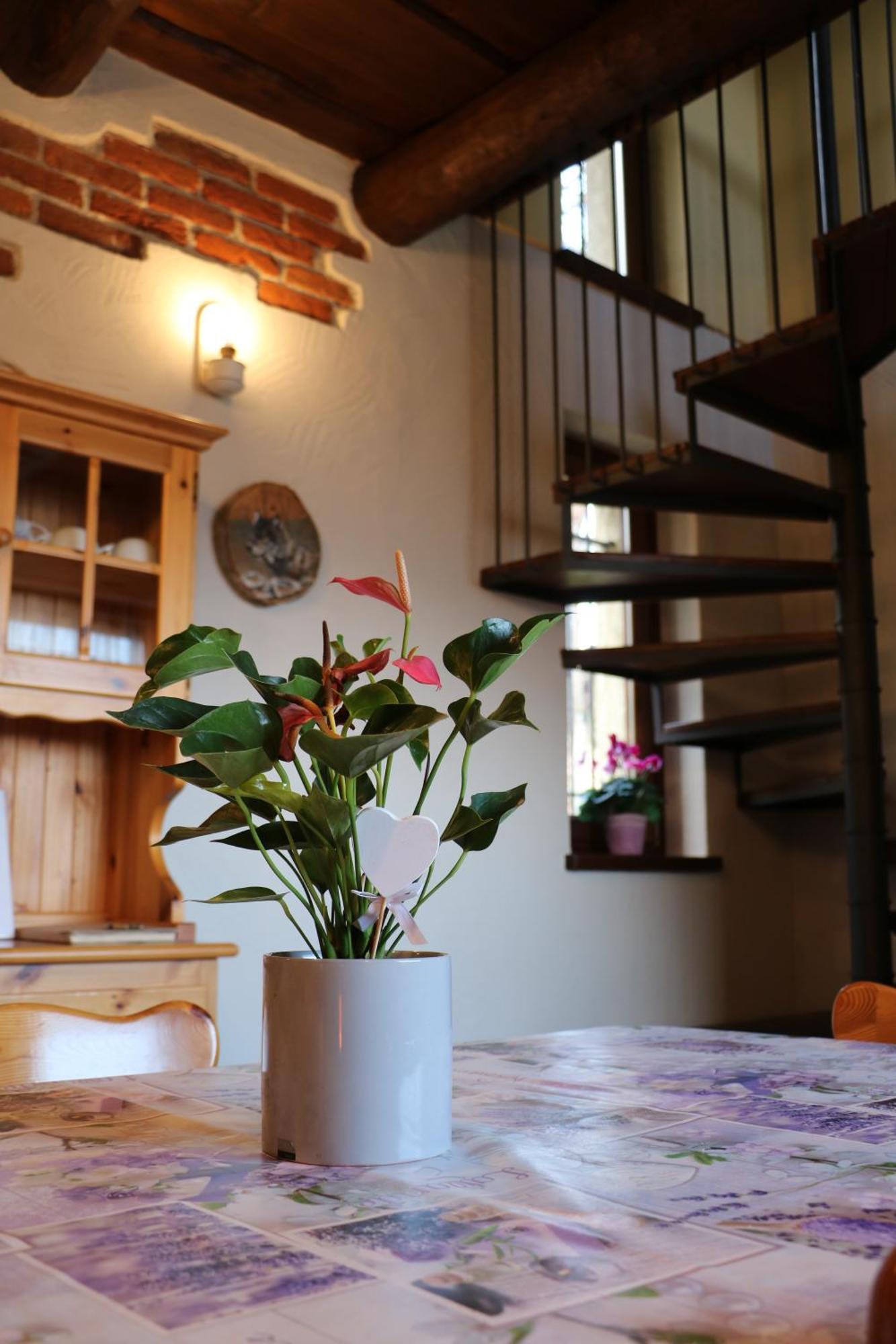 Casa Vacanze Le Primule Peveragno Buitenkant foto