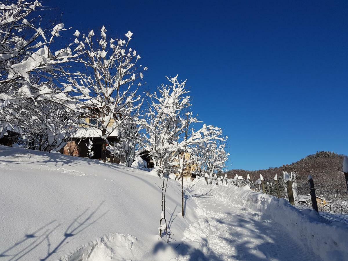 Casa Vacanze Le Primule Peveragno Buitenkant foto