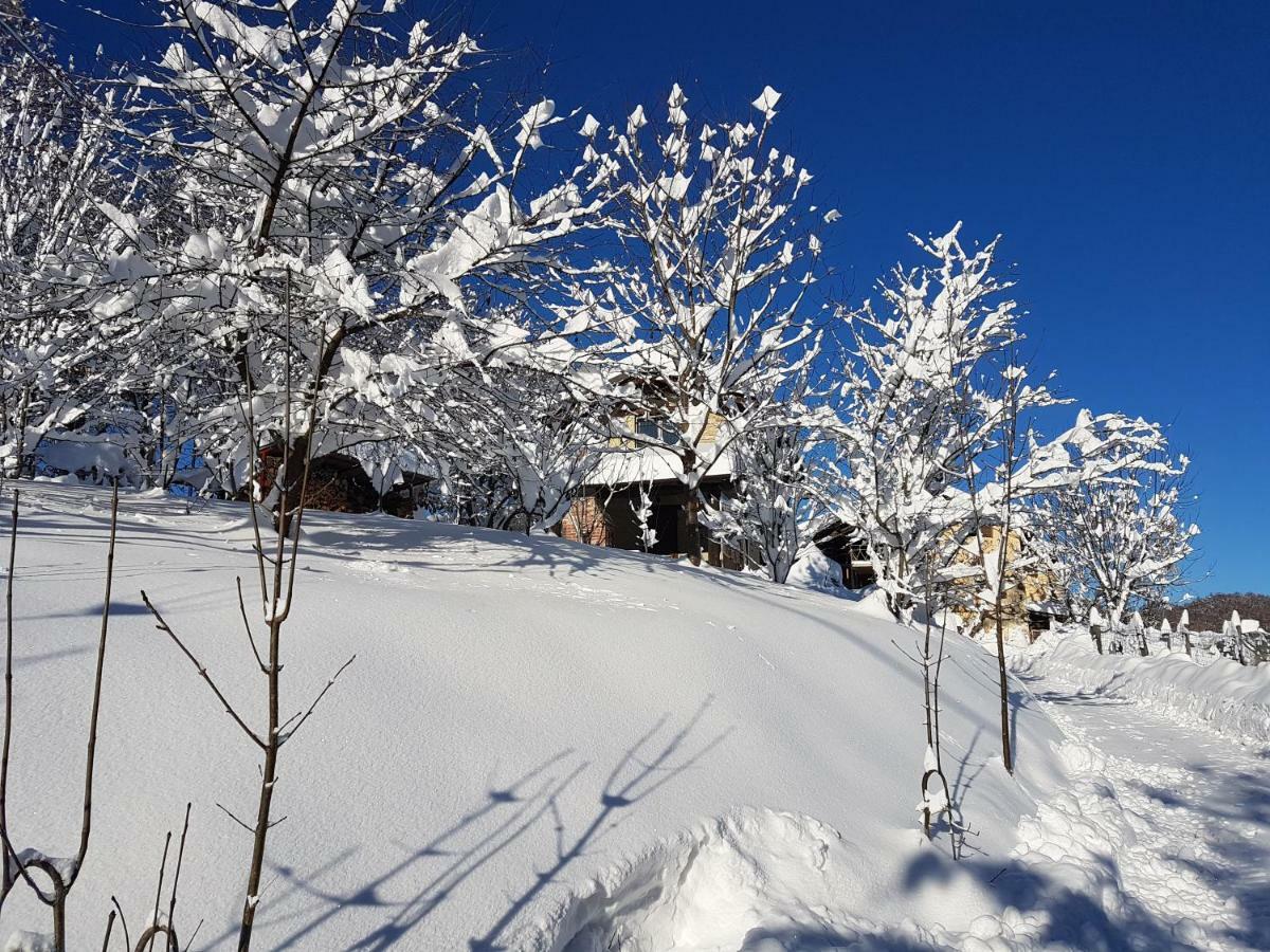 Casa Vacanze Le Primule Peveragno Buitenkant foto